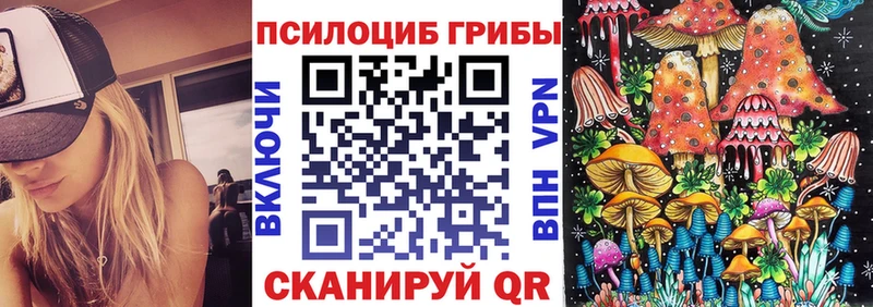даркнет сайт кракен зеркало Псилоцибиновые грибы Magic Shrooms Зубцов