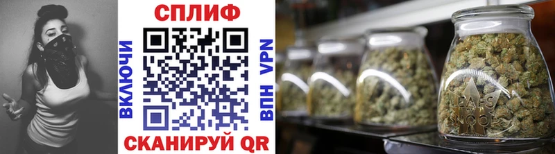 ОМГ ОМГ зеркало  Зубцов  Каннабис индика 